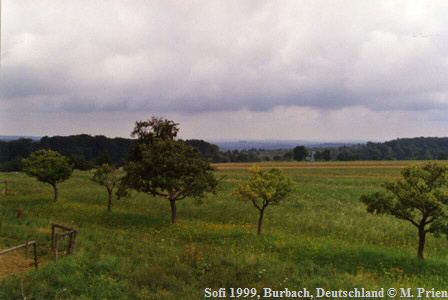 Sofi 1999, Burbach, Deutschland  M. Prien